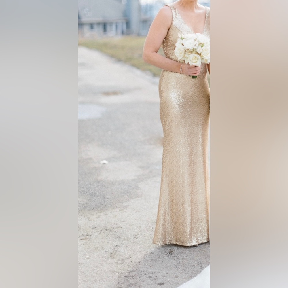 Revelry Dakota Sequin Dress